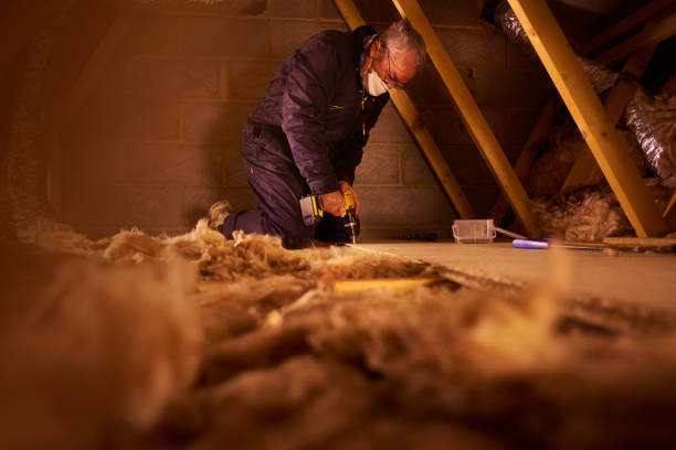 Best Insulation Maintenance and Repair in Eastpointe, MI